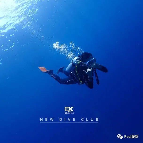 自由勇士历险记3